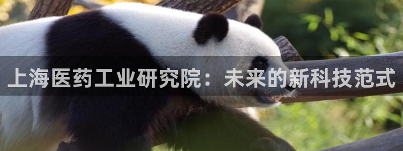 j9九游会最新版：上