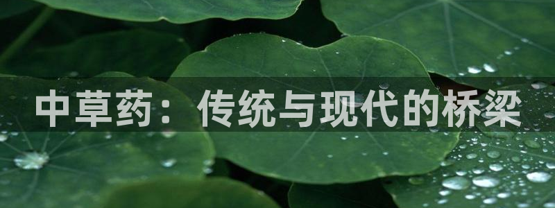 九游J9官方网站：中