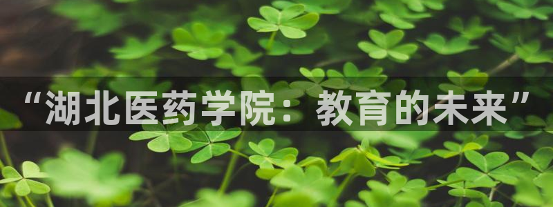 j9九游会官方网站：