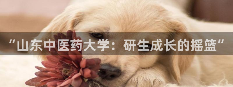 九游会官网登录首页|